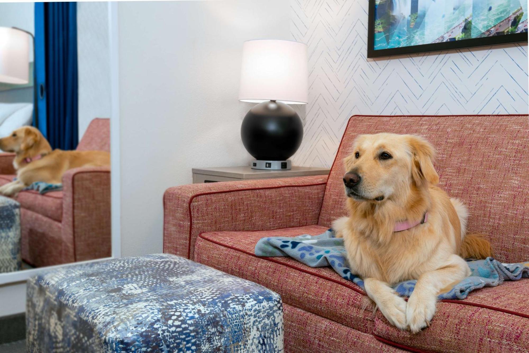 Home2 Suites By Hilton Buffalo Airport/ Galleria Mall Чийктоуага Екстериор снимка